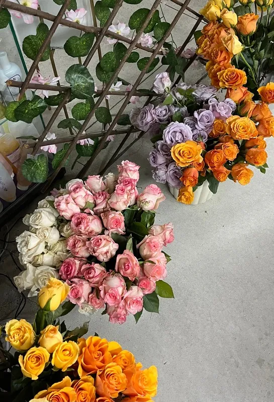 Pink, white, lavender and orange roses laid out for a healing session